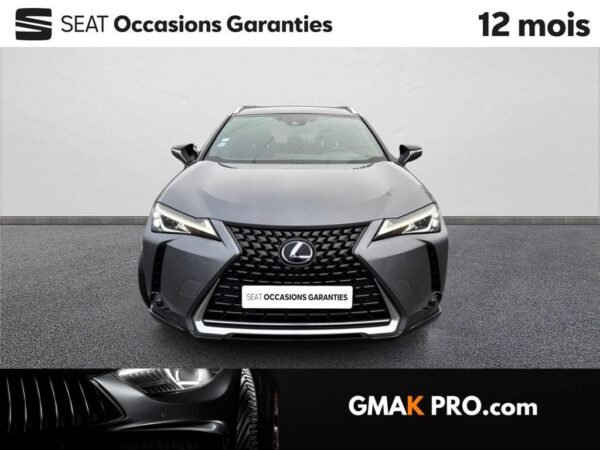 Lexus Ux 250h 4wd luxe