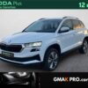 Skoda Karoq 2.0 tdi 116 ch scr dsg7 business