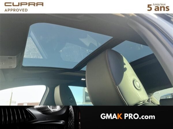 Cupra Formentor Ehybrid 204 ch dsg6 v