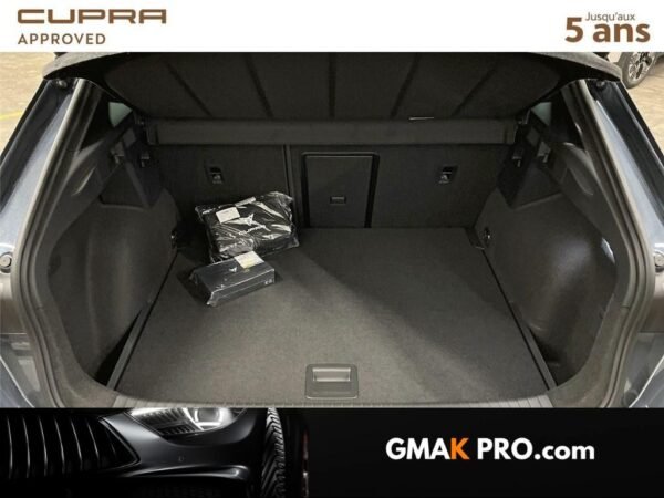 Cupra Formentor 2.0 tdi 150 ch dsg7 v