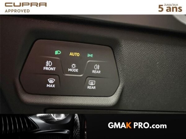 Cupra Formentor 2.0 tdi 150 ch dsg7 v