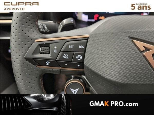 Cupra Formentor 2.0 tdi 150 ch dsg7 v