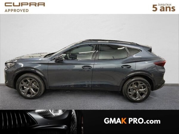 Cupra Formentor 2.0 tdi 150 ch dsg7 v