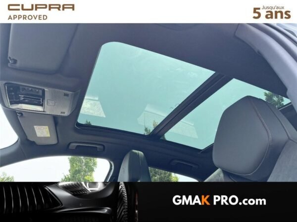 Cupra Terramar 1.5 ehybrid 272 ch dsg6 vz