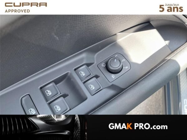Cupra Terramar 1.5 ehybrid 272 ch dsg6 vz