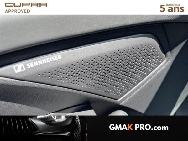 Cupra Terramar 1.5 ehybrid 272 ch dsg6 vz