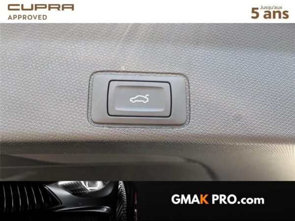Cupra Terramar 1.5 ehybrid 272 ch dsg6 vz