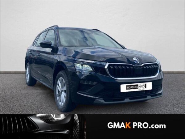 Skoda Kamiq 1.0 tsi evo 2 116 ch dsg7 selection
