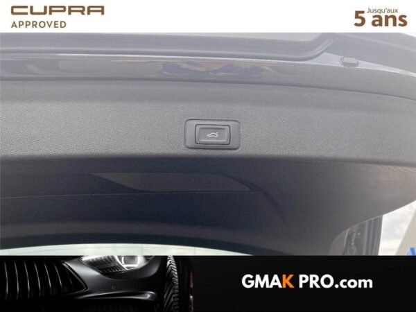 Cupra Terramar 1.5 etsi hybrid 150 ch dsg7 v