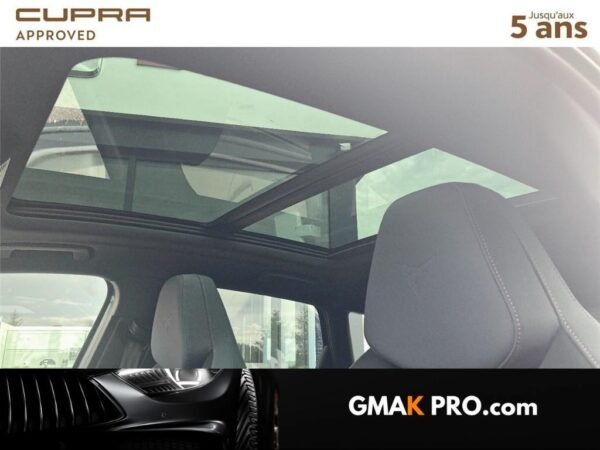 Cupra Terramar 1.5 etsi hybrid 150 ch dsg7 v