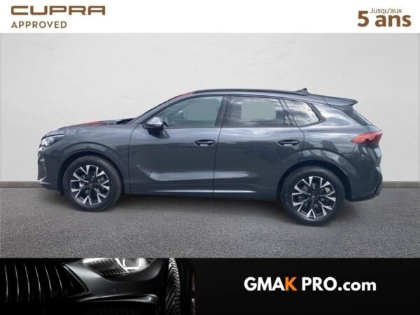 Cupra Terramar 1.5 etsi hybrid 150 ch dsg7 v