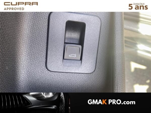Cupra Terramar 1.5 etsi hybrid 150 ch dsg7 v