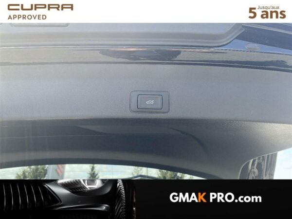Cupra Terramar 1.5 etsi hybrid 150 ch dsg7 v