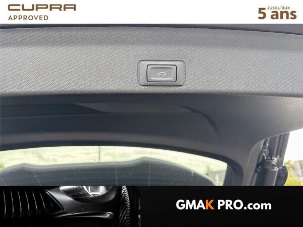 Cupra Terramar 1.5 etsi hybrid 150 ch dsg7 v