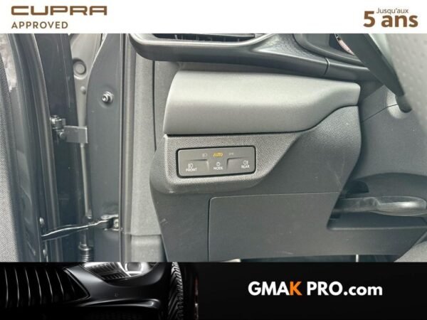 Cupra Terramar 1.5 etsi hybrid 150 ch dsg7 v