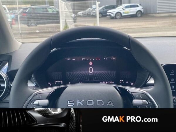 image_3152851_13 Skoda Fabia