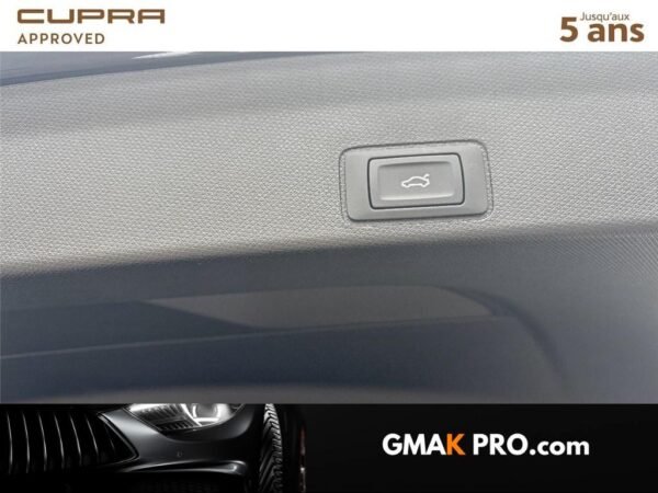 image_3152862_17 Cupra Terramar 1.5 etsi hybrid 150 ch dsg7 v