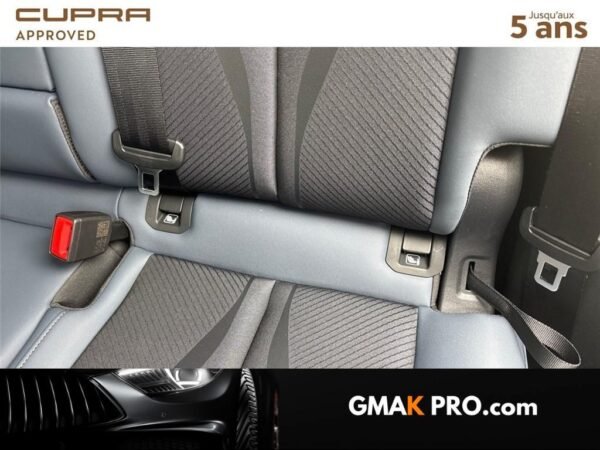 image_3152862_19 Cupra Terramar 1.5 etsi hybrid 150 ch dsg7 v