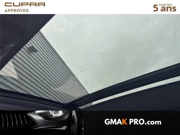 image_3152862_24 Cupra Terramar 1.5 etsi hybrid 150 ch dsg7 v
