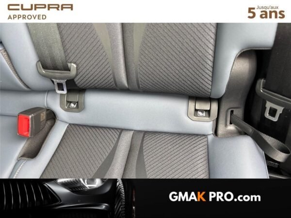 image_3152864_19 Cupra Terramar 1.5 ehybrid 204 ch dsg6 v