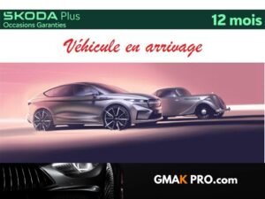 Skoda Kamiq 1.0 tsi 95 ch bvm5 ambition