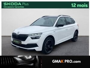 Skoda Kamiq 1.0 tsi evo 110 ch dsg7 monte-carlo
