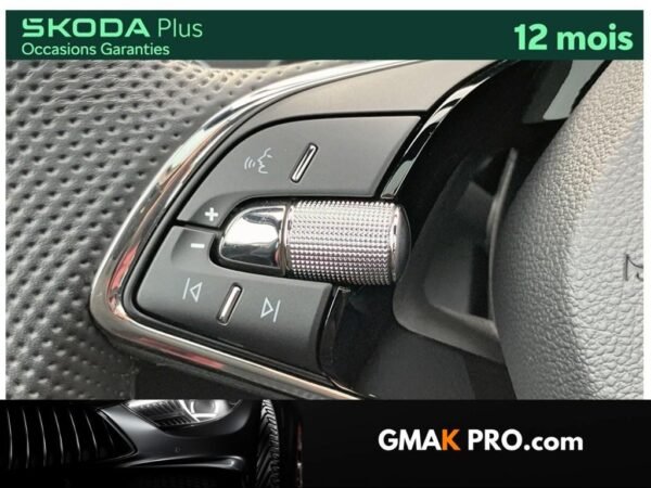 image_3188483_20 Skoda Kamiq 1.0 tsi evo 110 ch dsg7 monte-carlo