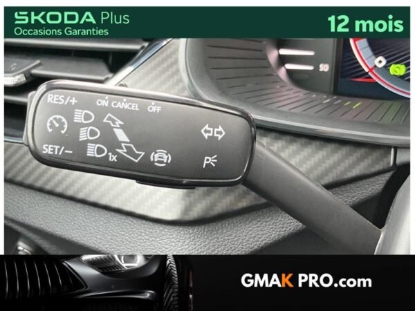 image_3188483_21 Skoda Kamiq 1.0 tsi evo 110 ch dsg7 monte-carlo