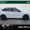 image_3188483_4 Skoda Kamiq 1.0 tsi evo 110 ch dsg7 monte-carlo