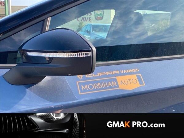 image_2957272_17 Cupra Tavascan 340 ch 4drive vz