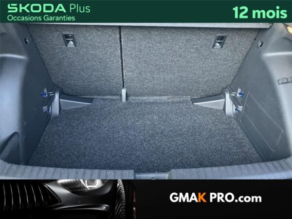 image_3208072_10 Skoda Fabia iv 1.0 tsi 110 ch dsg7 monte-carlo