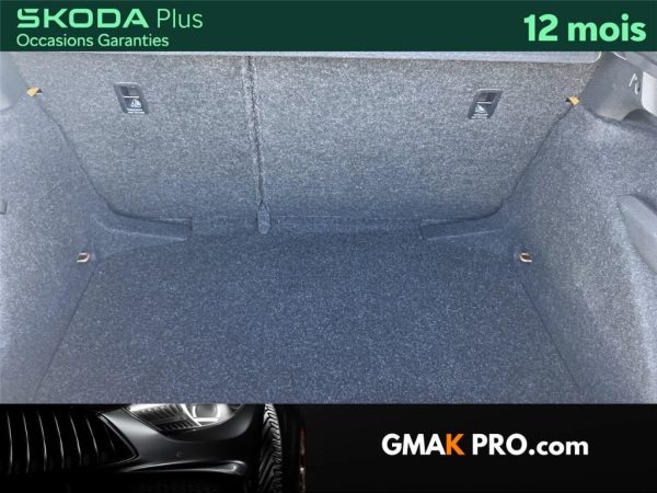 Skoda Kamiq 1.5 tsi 150 ch dsg7 monte-carlo