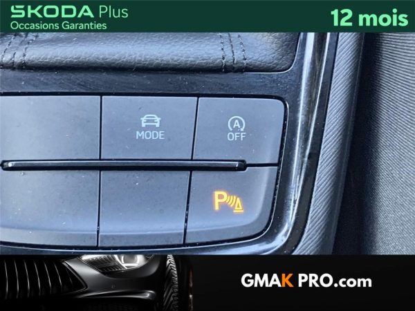 Skoda Kamiq 1.5 tsi 150 ch dsg7 monte-carlo