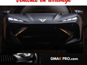 Cupra Terramar 1.5 ehybrid 272 ch dsg6 vz