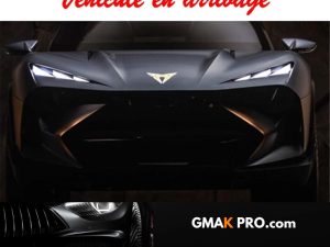 Cupra Formentor 1.5 tsi 150 ch dsg7 4th anniversary edition