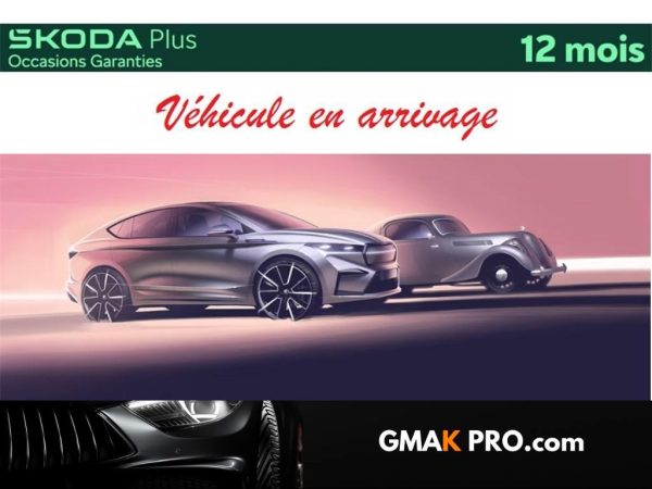 Skoda Kamiq 1.0 tsi evo 110 ch dsg7 monte-carlo