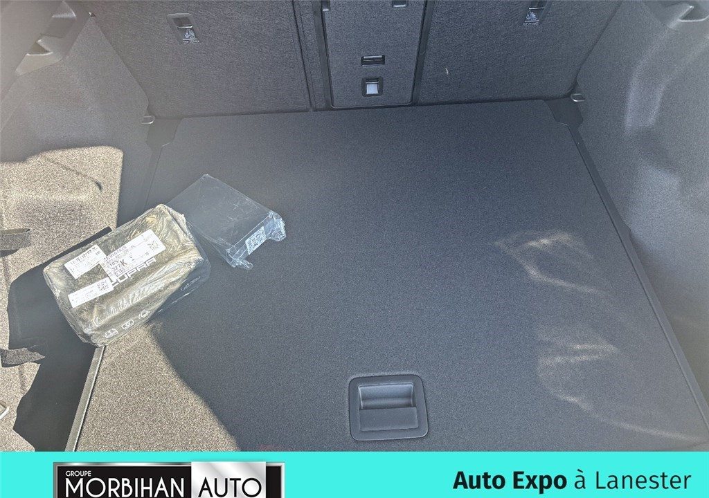 CUPRA TAVASCAN 286 CH