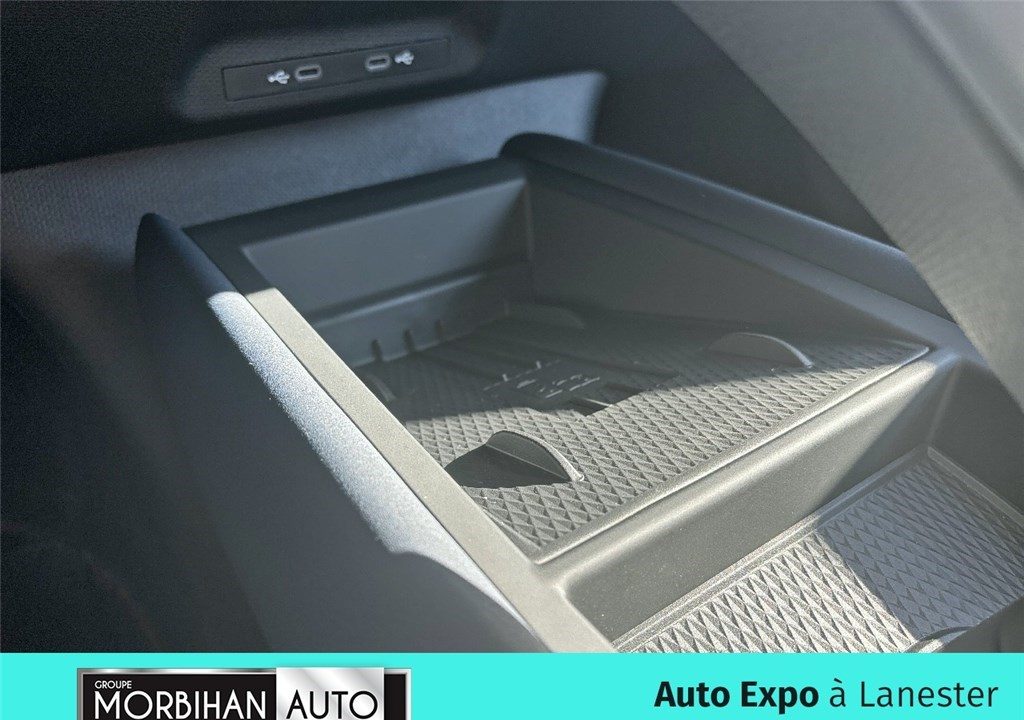 CUPRA TAVASCAN 286 CH