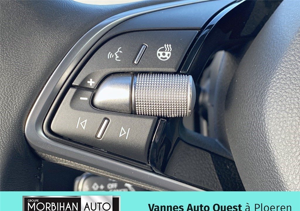 SKODA ELROQ 286 CH BATTERIE 85