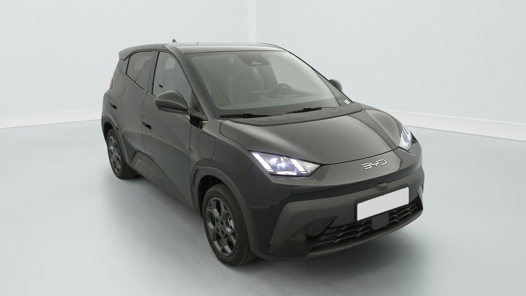 Byd DOLPHIN SURF 43.2 kWh 156 ch Comfort