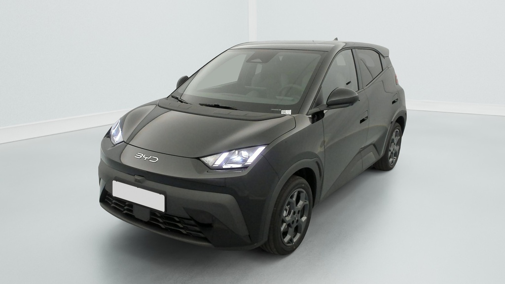 Byd DOLPHIN SURF 43.2 kWh 156 ch Comfort