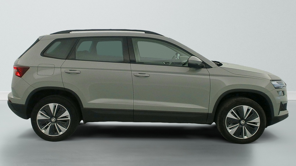 Skoda Karoq 2.0 TDI 116 ch SCR DSG7 Business