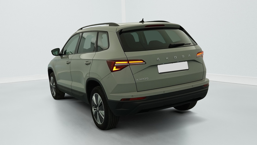 Skoda Karoq 2.0 TDI 116 ch SCR DSG7 Business