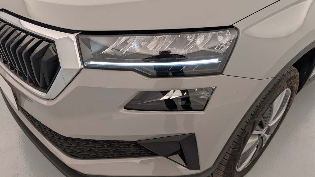 Skoda Karoq 2.0 TDI 116 ch SCR DSG7 Business