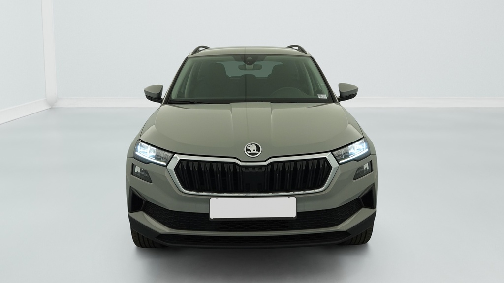 Skoda Karoq 2.0 TDI 116 ch SCR DSG7 Business