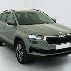 Skoda Karoq 2.0 TDI 116 ch SCR DSG7 Business