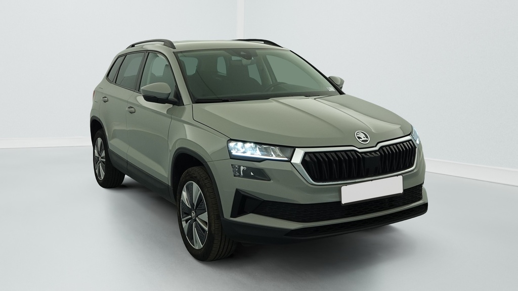 Skoda Karoq 2.0 TDI 116 ch SCR DSG7 Business