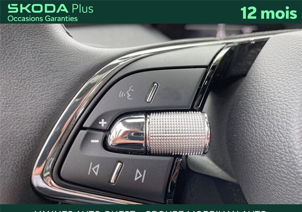 SKODA ENYAQ COUPE IV 80