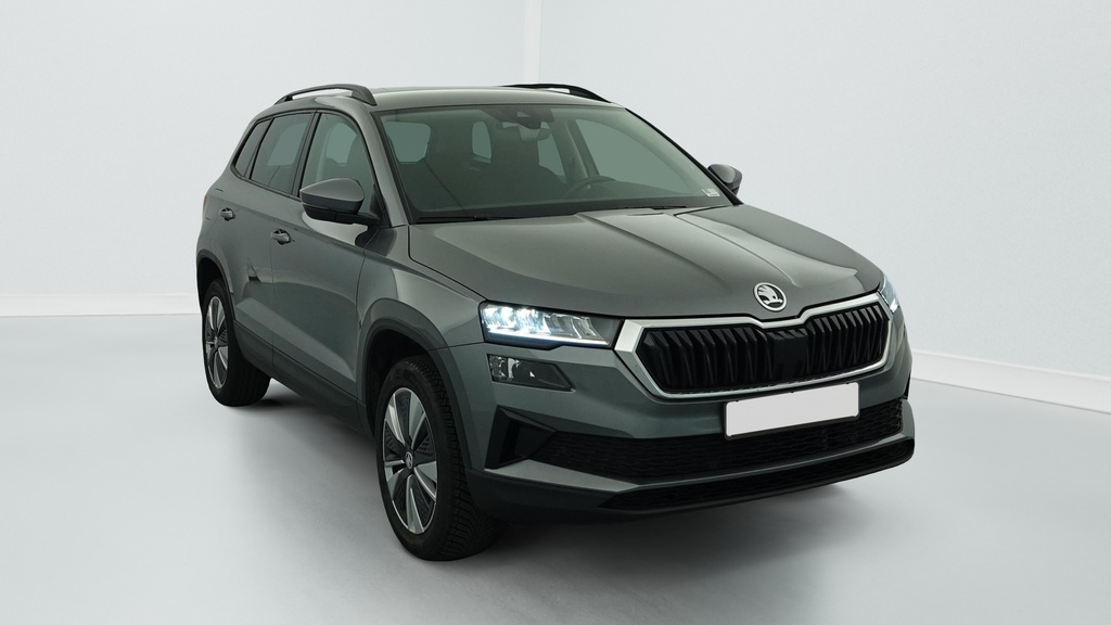 Skoda Karoq 2.0 TDI 116 ch SCR DSG7 Business